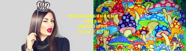шишки Алзамай