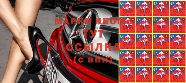 шишки Алзамай