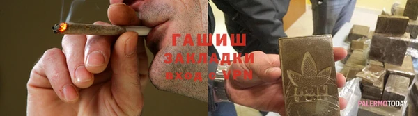 шишки Алзамай