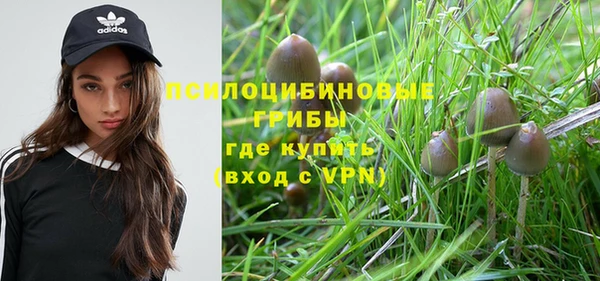 шишки Алзамай