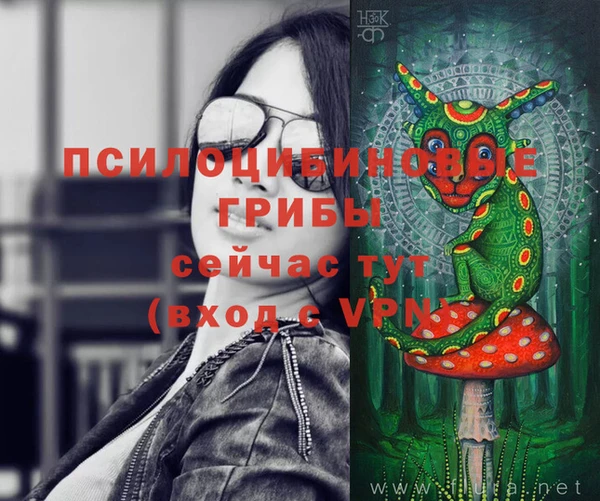 тгк Алексеевка